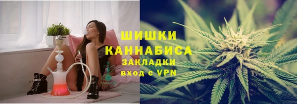 соль ск Каменка