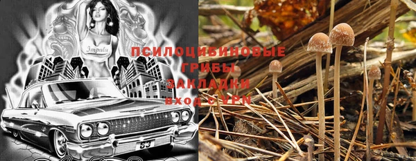 герыч Каменногорск