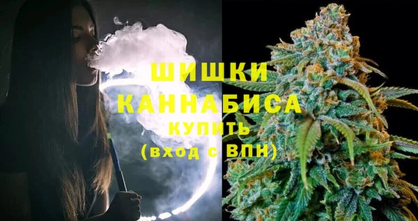 соль ск Каменка