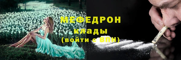 соль ск Каменка